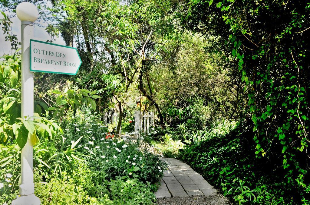 Umlambo River Lodge Kirkwood Exterior photo